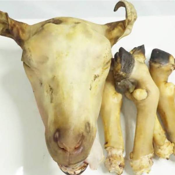Goat head/Trojans